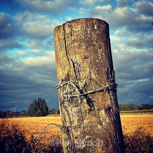 PhotoMynottART059 - Photo Mynott ART Images