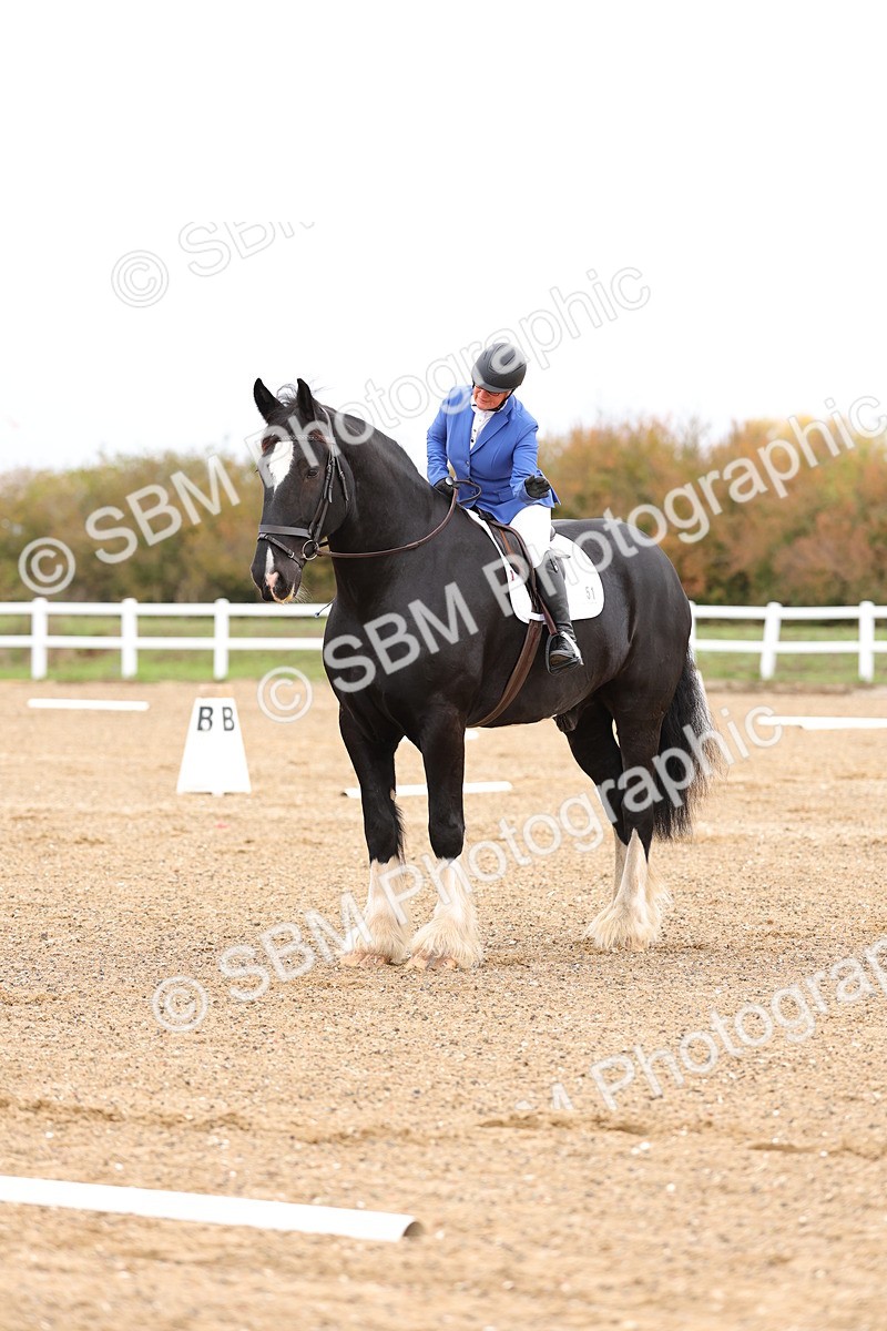SBM_000101 - Intro 2