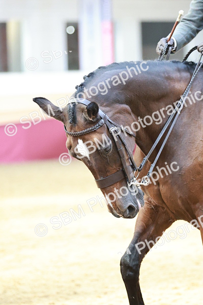 SBM_07142 - Class 10R - Regional Ridden Diamond