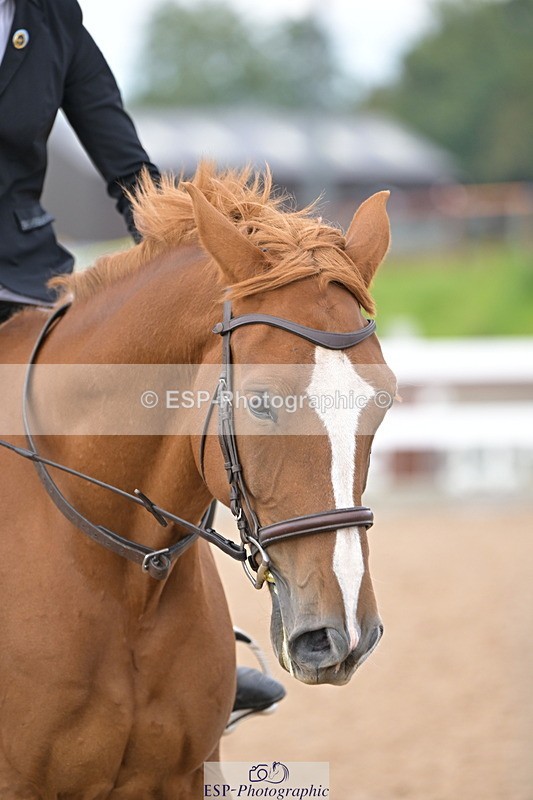 241004A-145945-02623 - Fri 12 1.15m Members Cup