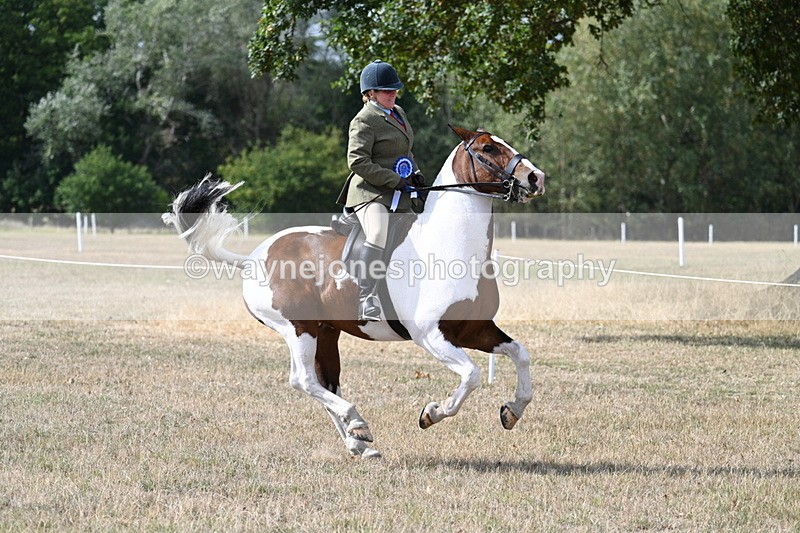 WJ7_7507 - Class 14 Ridden Coloured