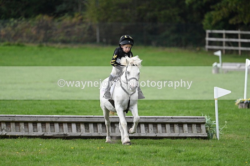 WJ7_3808 - 40cm Time 10:26 to 10:42