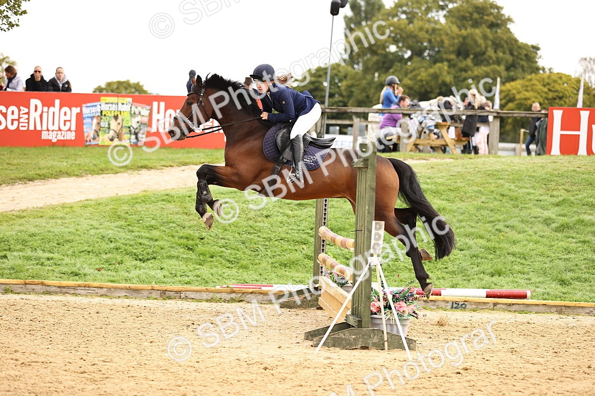 SBM_58502 - J41 - Grand Tour Horse & Pony 95cm