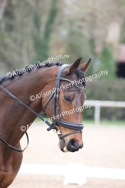 20260301-0408 - Class 3 - Novice 4