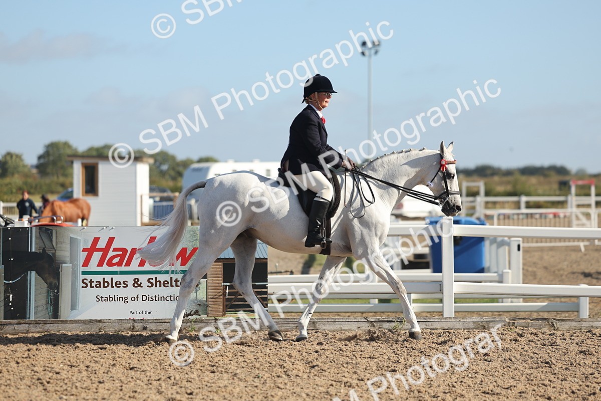 SBM_22273 - Class 803 - Ridden Combination 65+