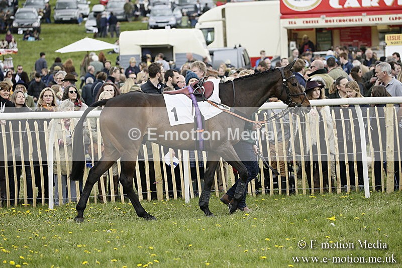 PtP 170417 118 - Old Berks Point-to-Point Lockinge 17/04/17