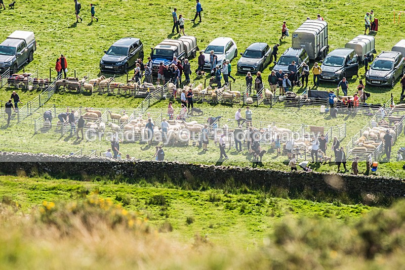 Ennerdale Show-9 - Ennerdale Show Fell Race Wednesday 30th August 2023