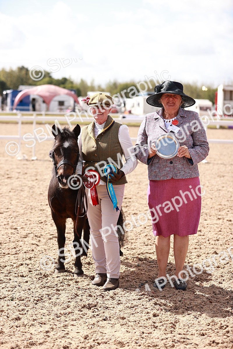 SBM_23013 - Class 707 - IH groom Helpers Class
