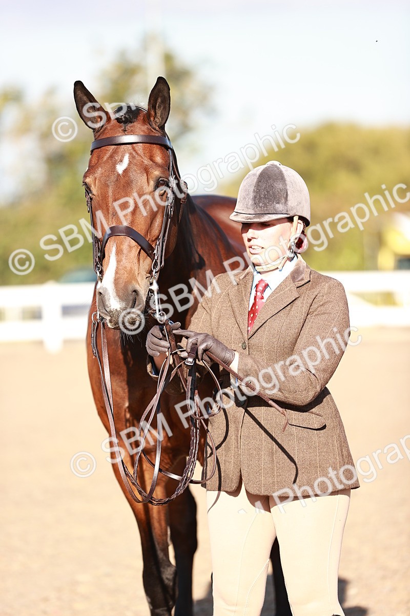 SBM_11218 - Class 401 - IH  Veteran horse