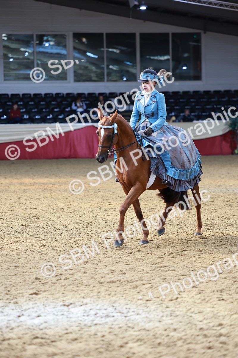 SBM_13754 - Class 106 - Ridden Costume -Astride Adult (15-19)