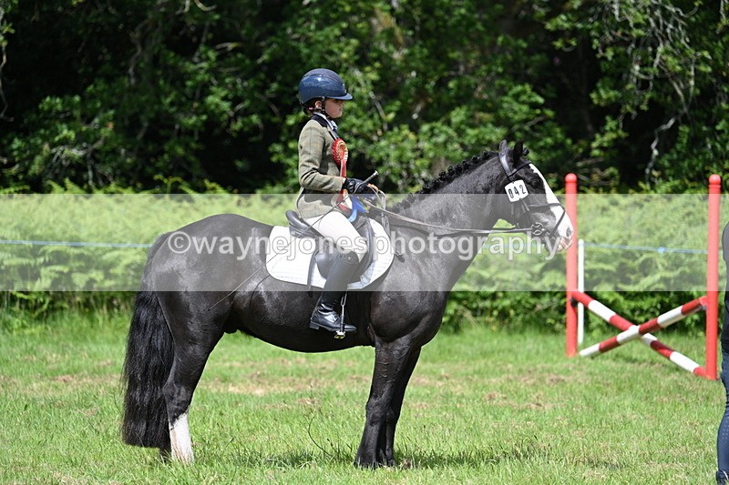 WJ7_1874 - Class 9 Pony Club Pony
