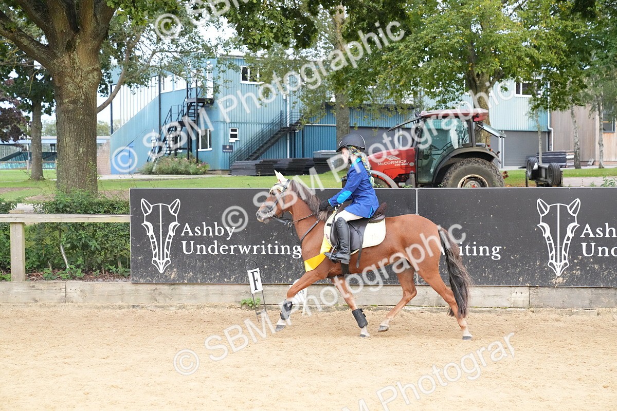 SBM_74957 - J4 - Mini Tour Junior Pony 45cm Championship