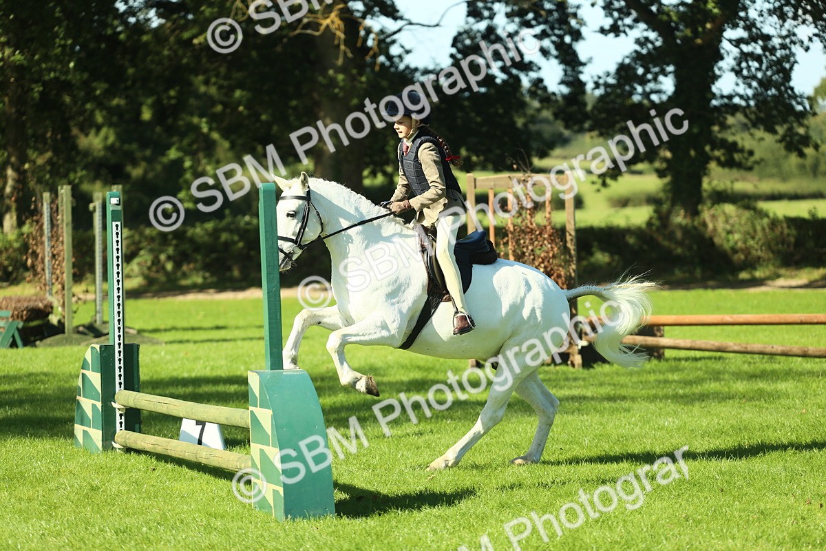 SBM_37509 - S29 - Novice & Newcomers Working Hunter Pony