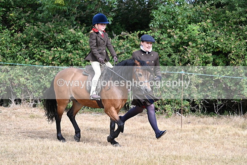 WJ7_6532 - Class 1 Lead Rein Pony