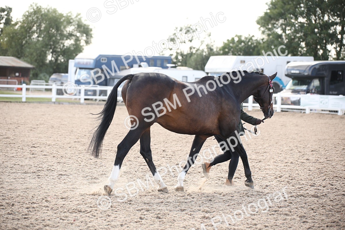 SBM_07121 - Class 25 IH Foreign Breeds- Pure bred