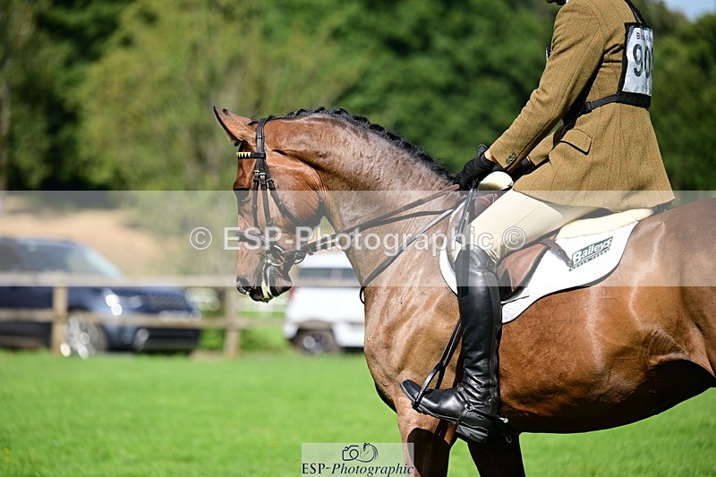 260808A-104505-01844 - 903-Nick.Gauntlett-Born.To.Party