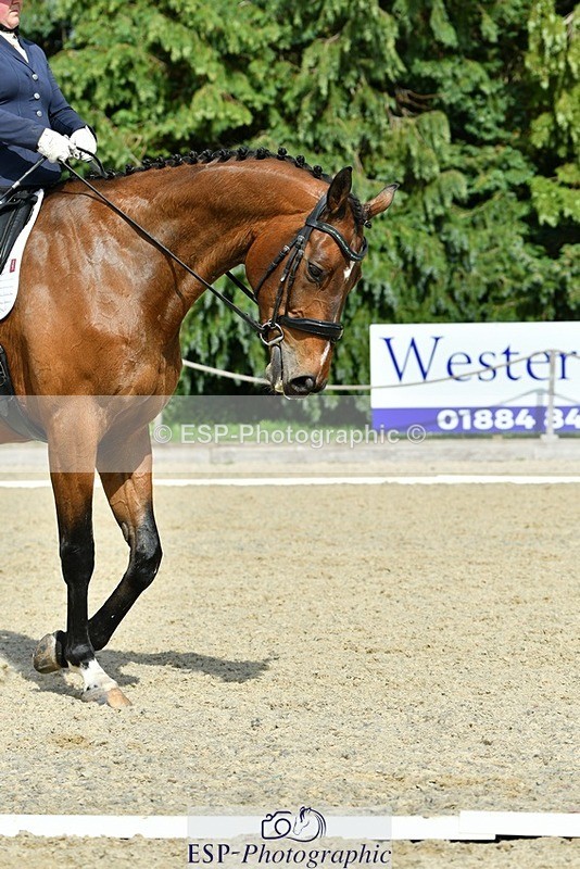 230623-162731-01323 - Cls 7 Medium 69