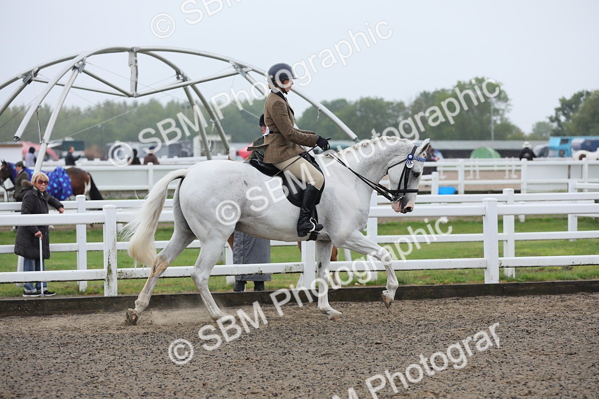 SBM_20014 - Class 802 - Ridden Groom - Helpers class
