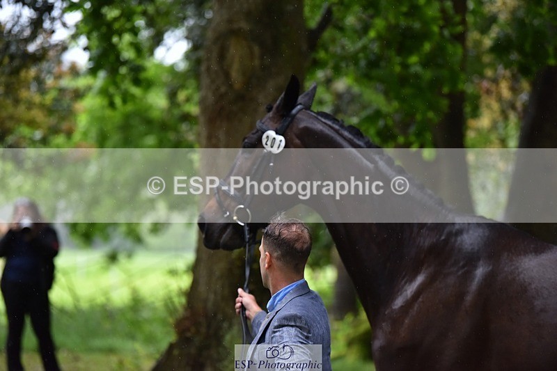 240522-162102-00854 - 201-PRIMITIVE_FUNTIME-Roberto_Scalisi