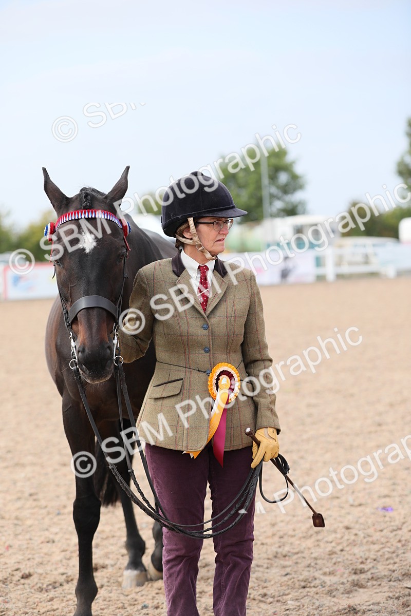 SBM_15973 - Class 313 IH Retired Racehorse