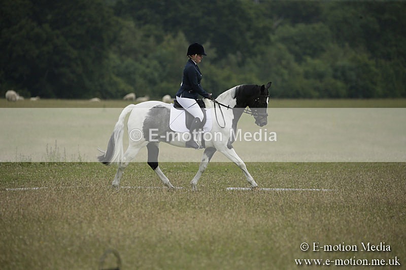 B230619-0375 - Bourne Valley Riding Club Summer Show 23/06/19