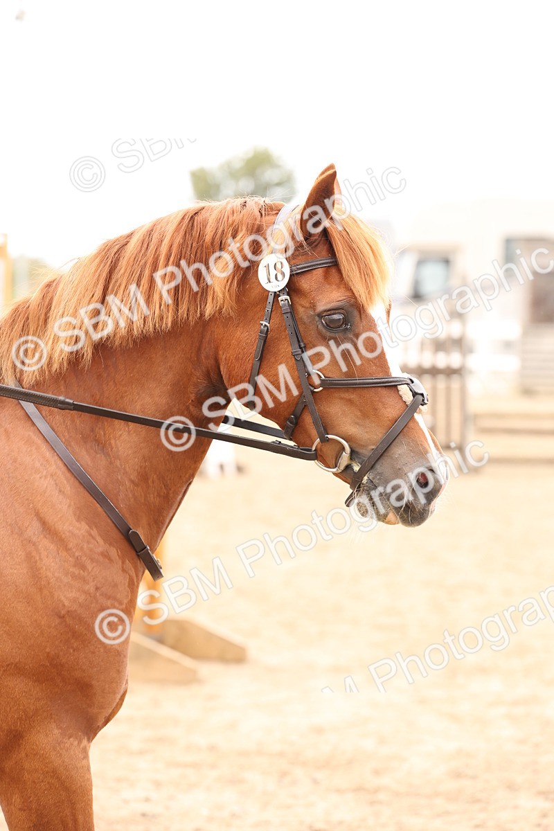 SBM_06785 - Class 58a -  Style & Performance - 70cm (15-19)