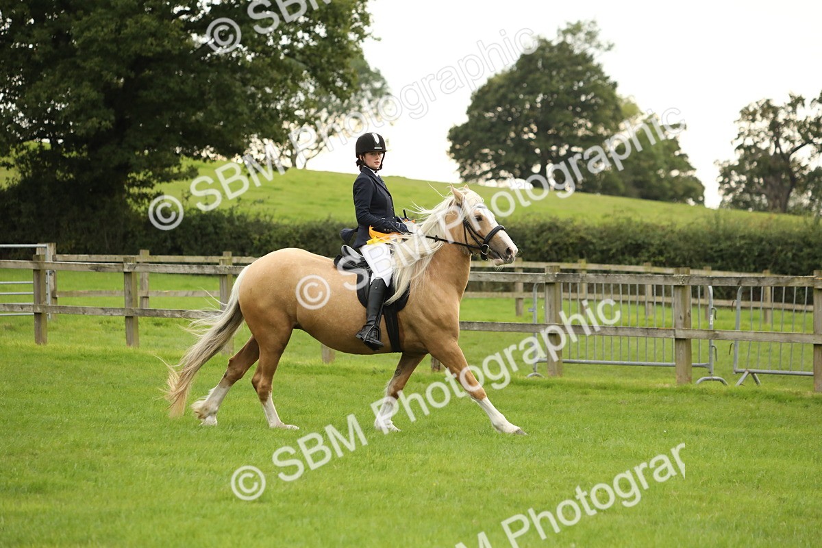 SBM_73901 - S41 - Ridden Equitation (Best Rider)