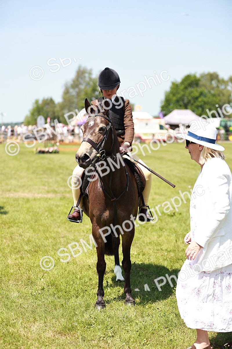 SBM_15809 - Class 108-109 - BSPS LIHS Open Gradle & Nursery Stakes