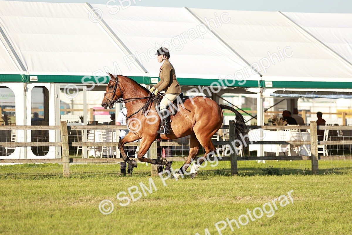 SBM_20484 - Class 117-119 - Sport Horse Working Hunter