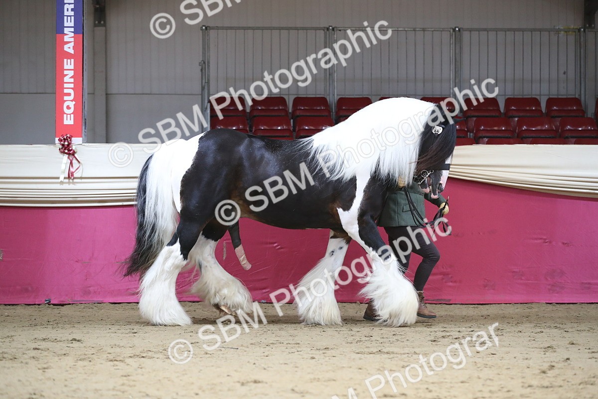 SBM_01324 - Class 3a Area IH Pre Vet