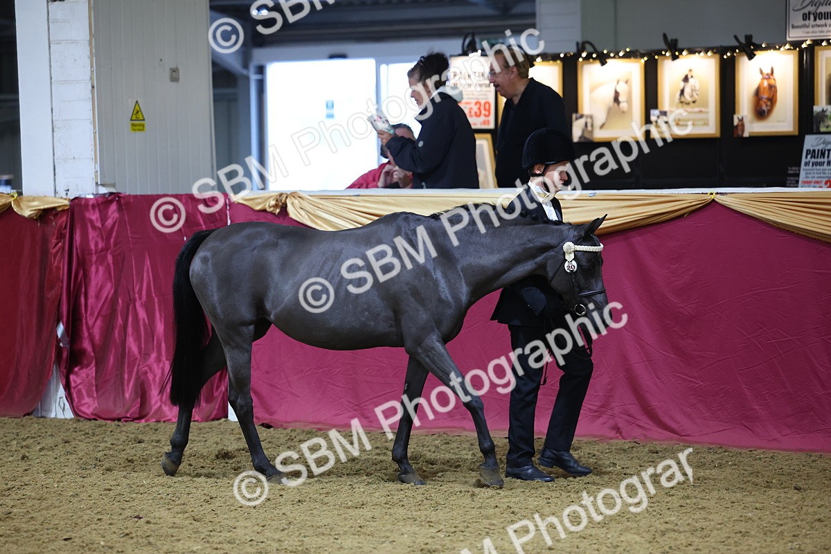 SBM_20758 - Class 902 - Supreme Final IH Veteran