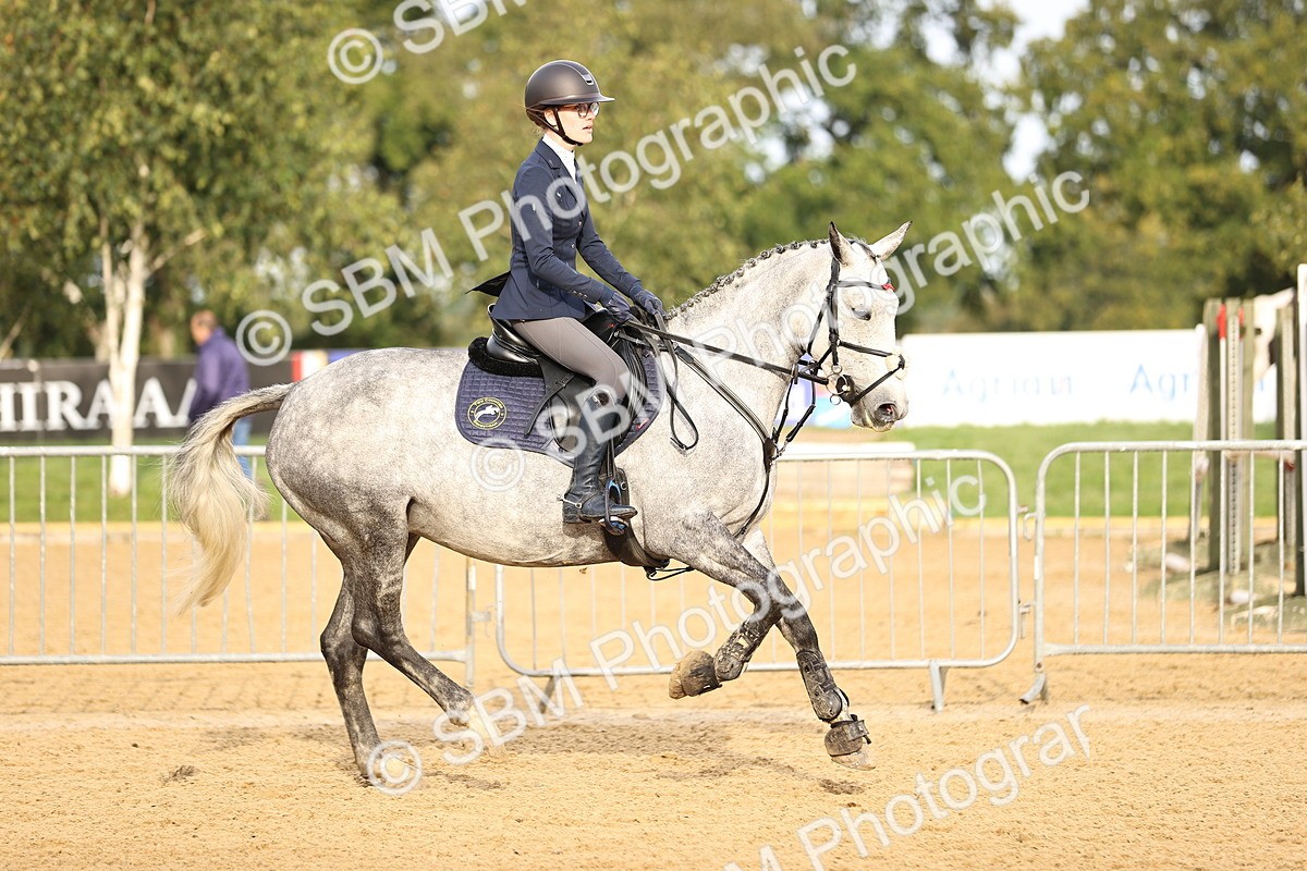 SBM_55284 - J62 - Clear Round 90cm