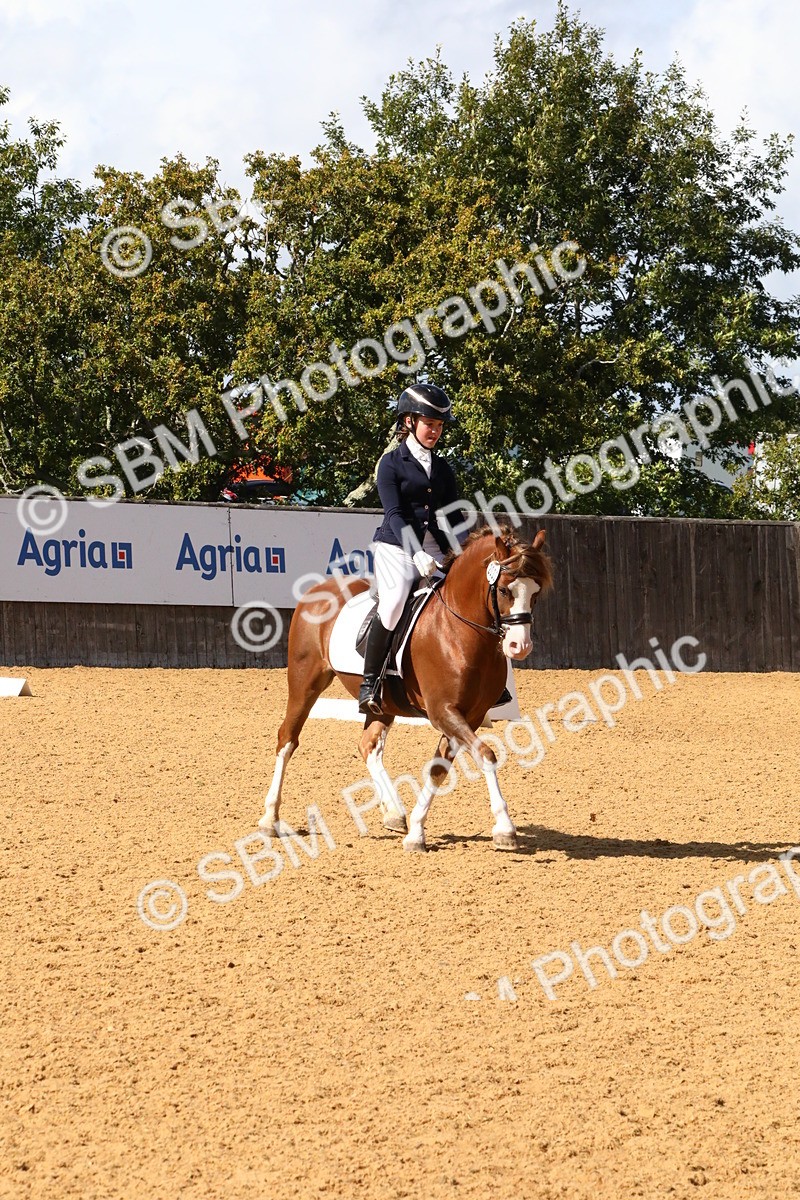 SBM_23496 - D5 - Small Tour Championshop Intro 2