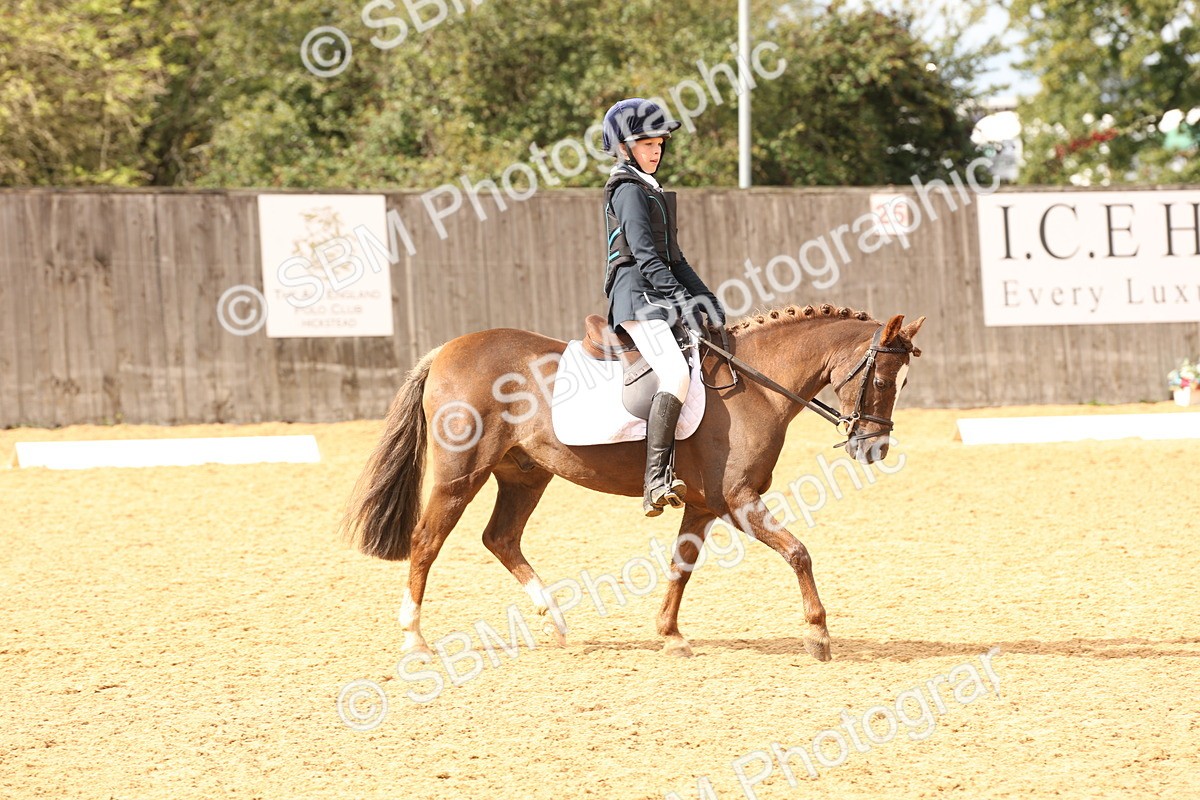 SBM_44184 - D6 - Small Tour Championship Intro 4