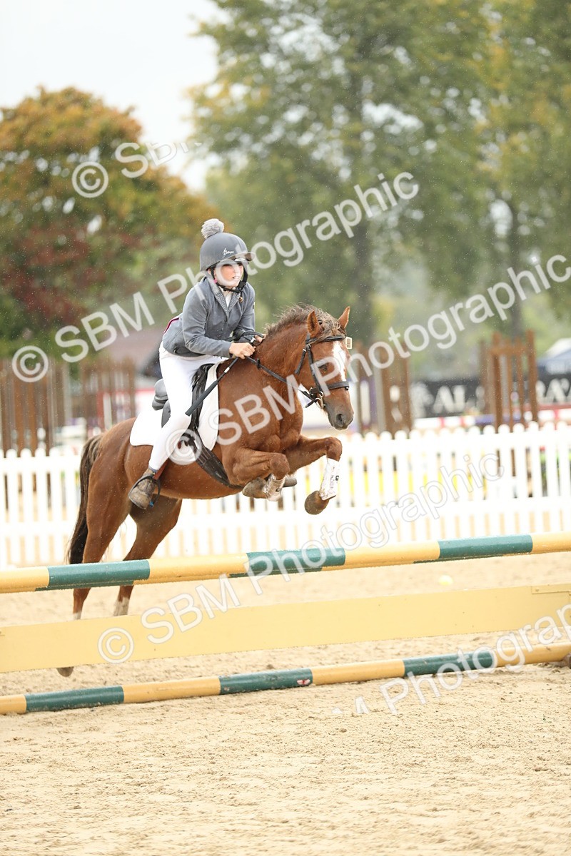 SBM_70443 - J15 - Junior Pony 70cm Championship