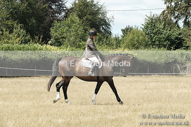 _PJP6001 - BVRC Show 2018 Ring 1