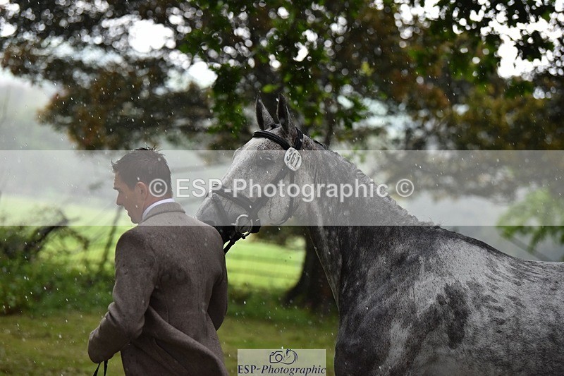 240522-152954-00384 - 361-FENIZIO-Max_Warburton