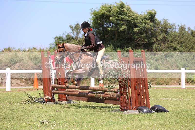 JPP_2450 - Class 21: Working Hunter 60cm