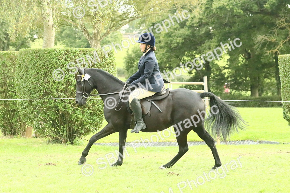 SBM_74107 - S 61 - Show Pony & Show Hunter Pony Ridden