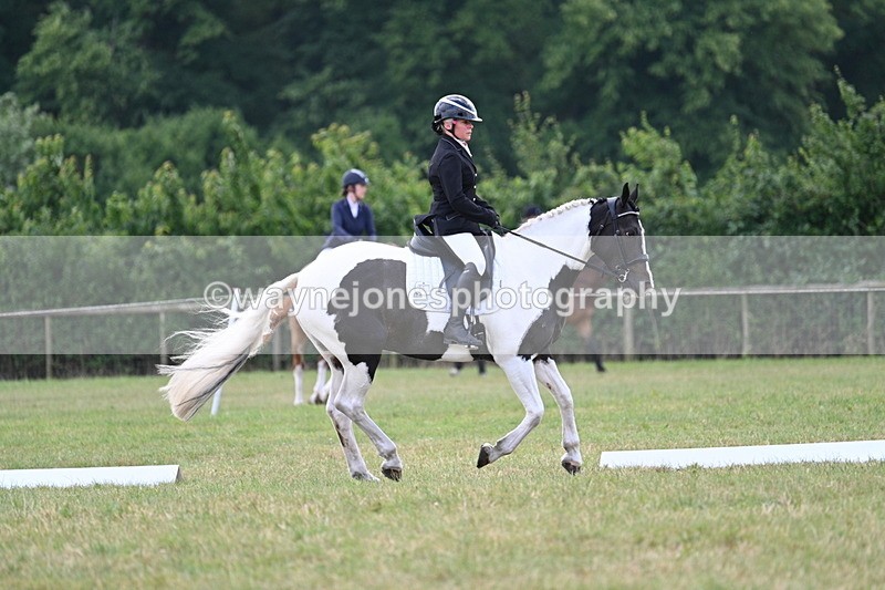 WJ7_5267 - Time 11:22 to 11:51