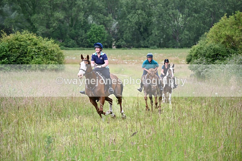 WJ6_8181 - Camera 1 Gallops