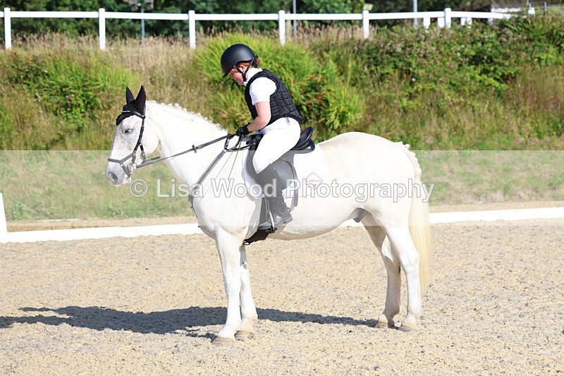 3E7A3382 - Class 2: Intro 1 2024 Section B