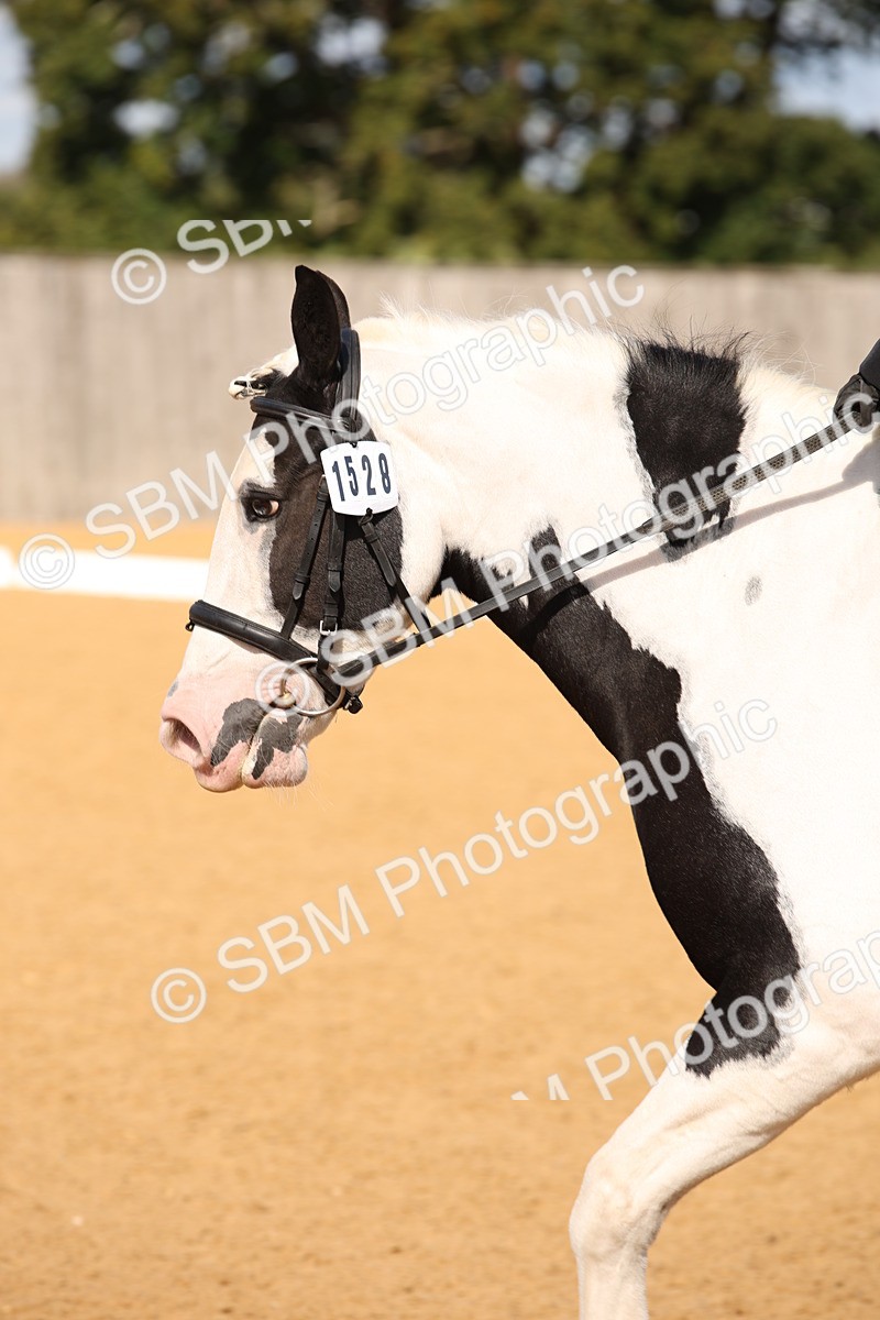 SBM_04328 - D2 Small Tour Championship Intro C