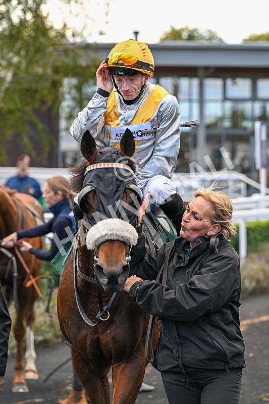 171026-Race 3-Hengest-5411 - Race 3 2.10pm Download The Raceday Ready App Handicap