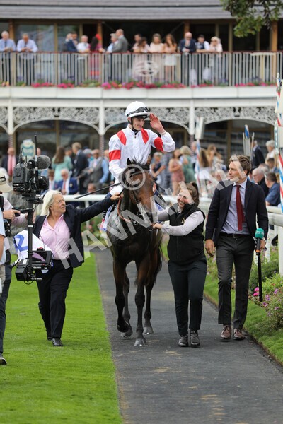 yr17082022r3-52 - Race 3 3.00pm Sky Bet Great Voltigeur Stakes