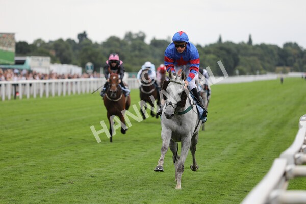 yr23072022r5-27 - Race 5 4.25pm Sky Bet UK's No1 Betting App Stakes