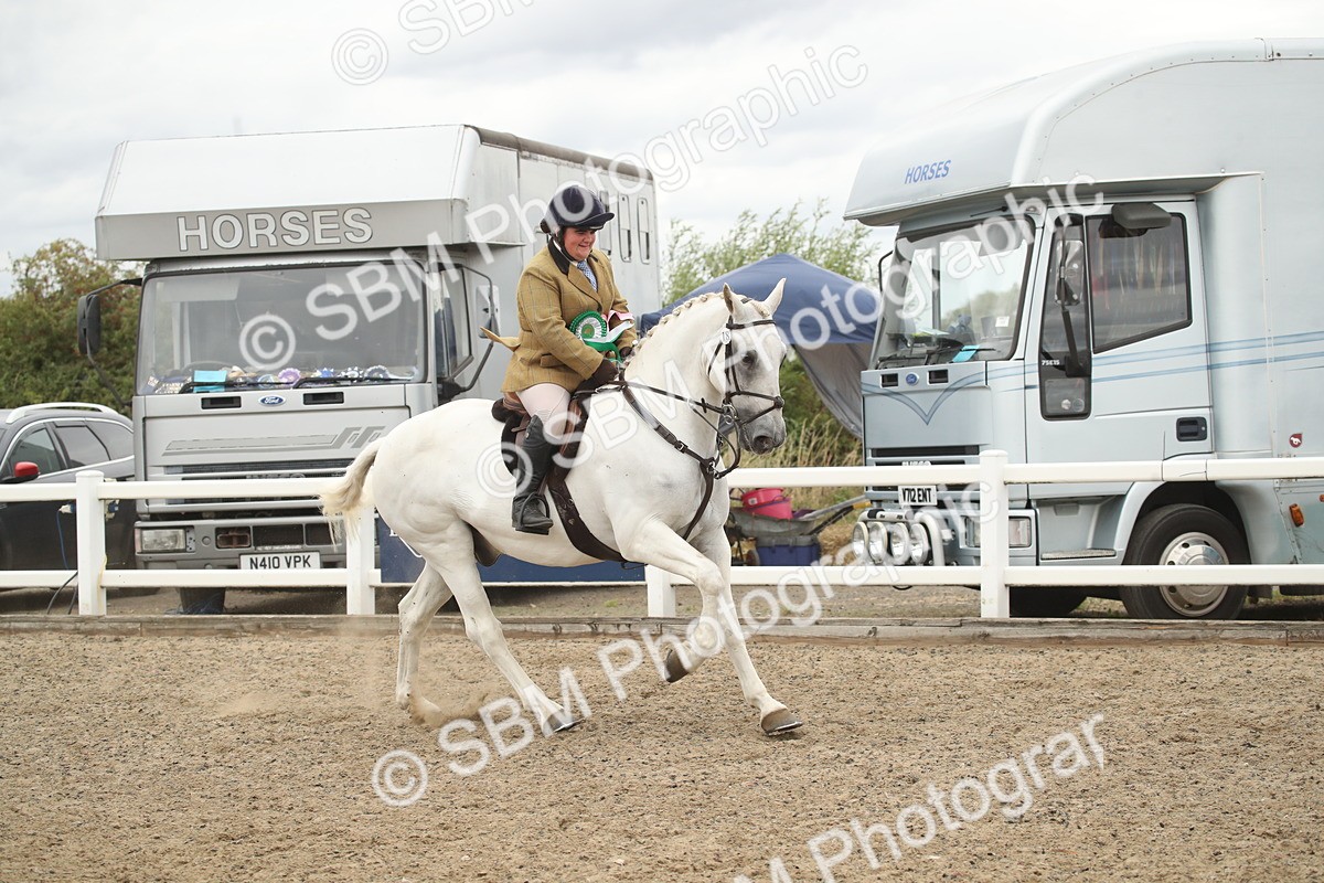SBM_18351 - Class 509a - Working Veteran - 80cm (15-19)
