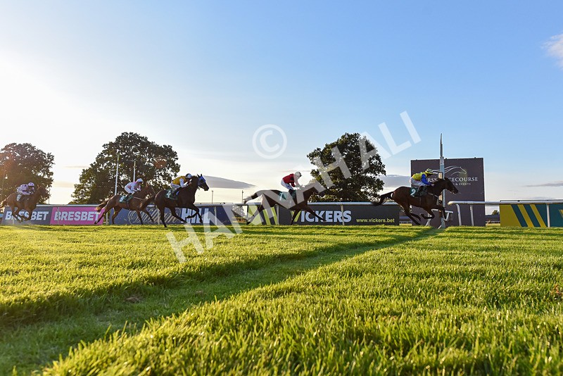 160824-Race 6-Smart Vision-3788 - Race 6