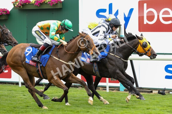 yr23072022r1-55 - Race 1 2.05pm Sky Bet Jump Jockeys Nunthorpe