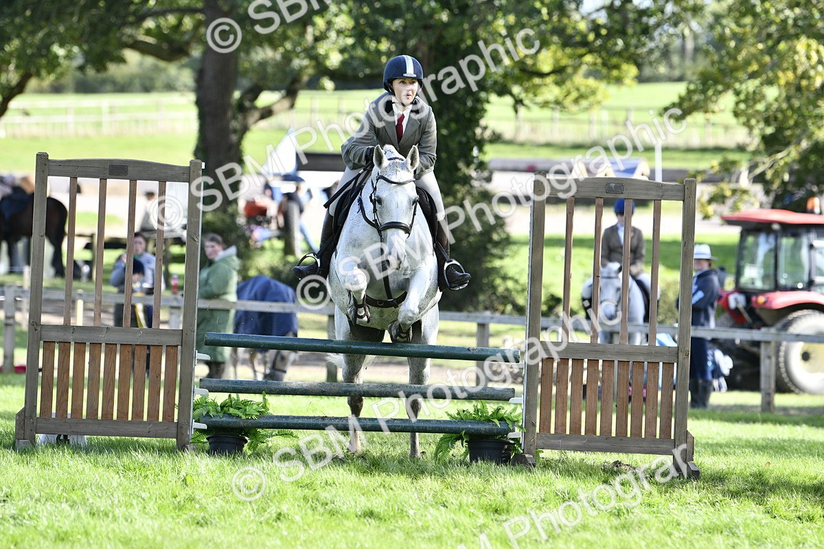 SBM_50018 - S34 - Novice & Newcomers Working Hunter